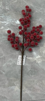 Christmas berry pick iced